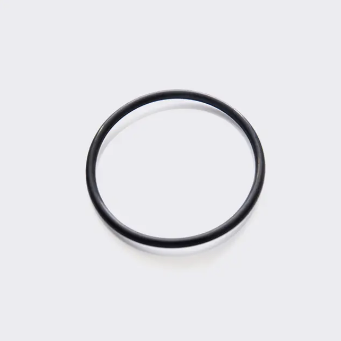 O-ring seal