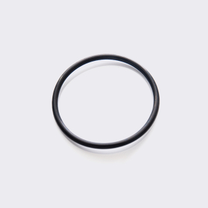 O-Ring seal
